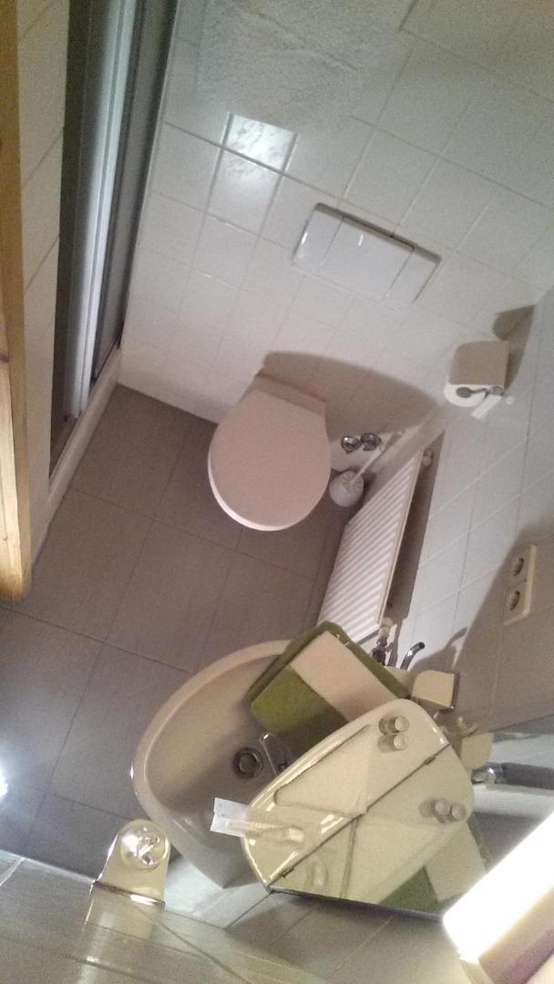 Gasthaus Zur Oelmuehle Oberderdingen Cameră foto